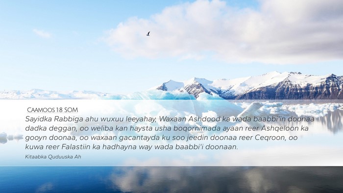 Caamoos 1:8 SOM Bible Verse Image