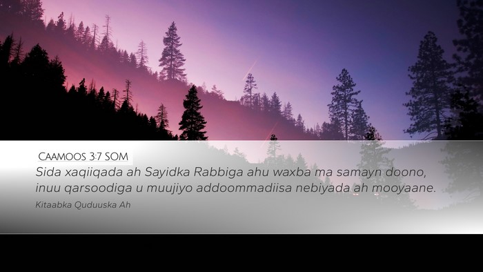 Caamoos 3:7 SOM Bible Verse Image