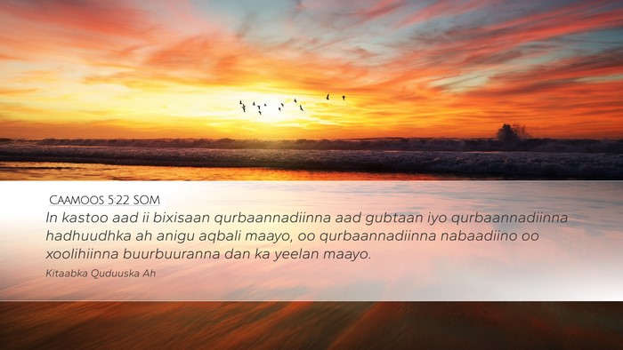 Caamoos 5:22 SOM Bible Verse Image