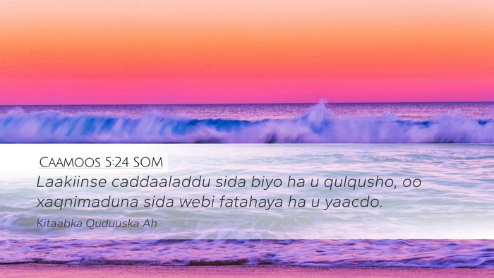 Caamoos 5:24 SOM Bible Verse Image