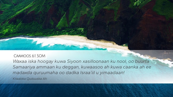 Caamoos 6:1 SOM Bible Verse Image