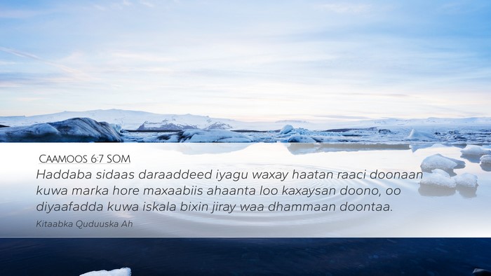 Caamoos 6:7 SOM Desktop Wallpaper - Haddaba sidaas daraaddeed iyagu waxay haatan - Desktop Bible Verse Wallpaper
