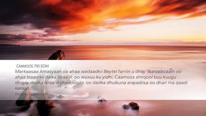 Caamoos 7:10 SOM Bible Verse Image