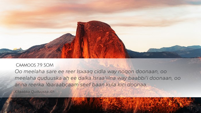 Caamoos 7:9 SOM Bible Verse Image