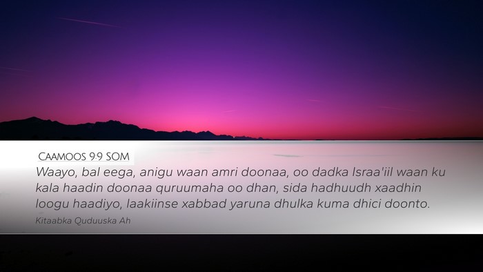 Caamoos 9:9 SOM Bible Verse Image