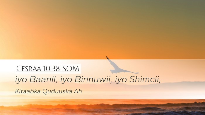 Cesraa 10:38 SOM Desktop Wallpaper - iyo Baanii, iyo Binnuwii, iyo - Desktop Bible Verse Wallpaper