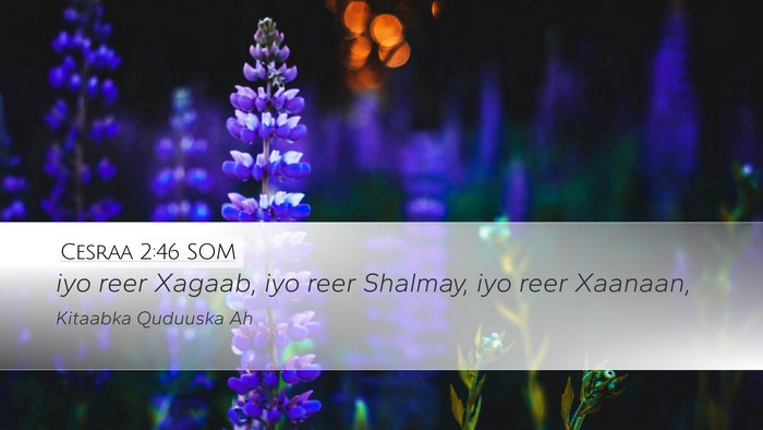 Cesraa 2:46 SOM Desktop Wallpaper - iyo reer Xagaab, iyo reer Shalmay, iyo reer - Desktop Bible Verse Wallpaper
