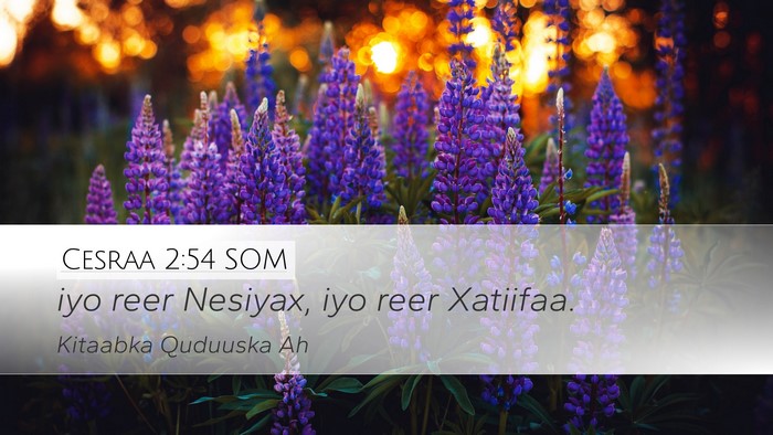 Cesraa 2:54 SOM Desktop Wallpaper - iyo reer Nesiyax, iyo reer - Desktop Bible Verse Wallpaper