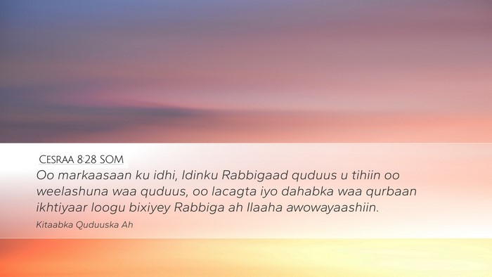 Cesraa 8:28 SOM Bible Verse Image