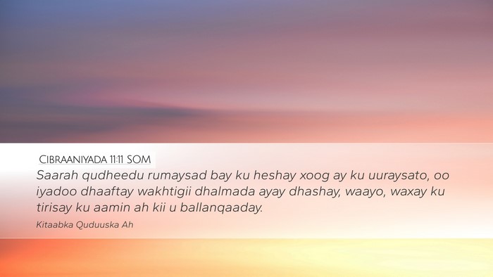 Cibraaniyada 11:11 SOM Bible Verse Image