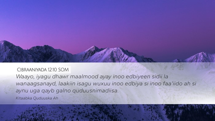Cibraaniyada 12:10 SOM Bible Verse Image