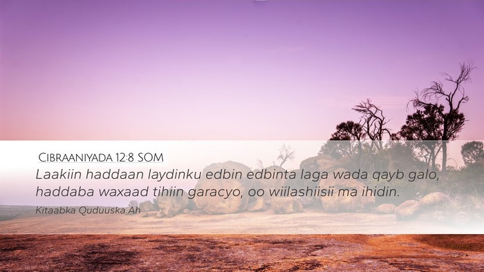 Cibraaniyada 12:8 SOM Bible Verse Image