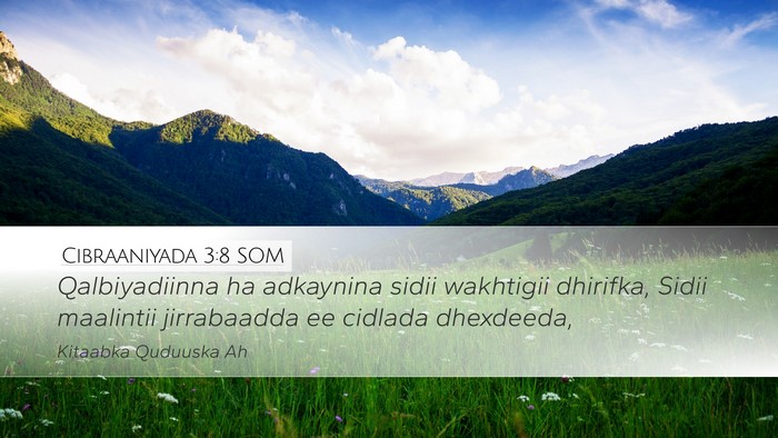 Cibraaniyada 3:8 SOM Bible Verse Image