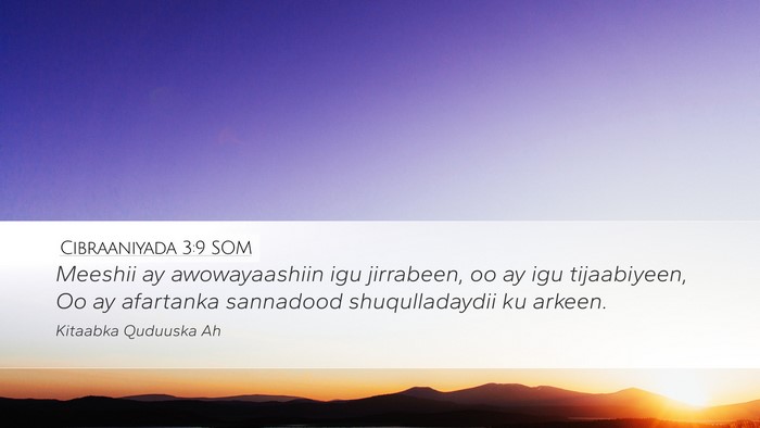 Cibraaniyada 3:9 SOM Bible Verse Image