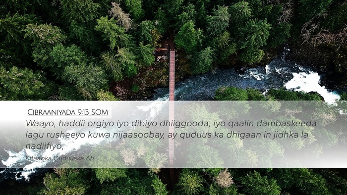 Cibraaniyada 9:13 SOM Bible Verse Image