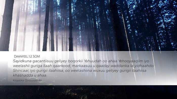 Daanyeel 1:2 SOM Bible Verse Image