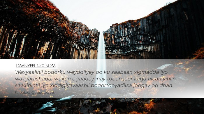 Daanyeel 1:20 SOM Bible Verse Image