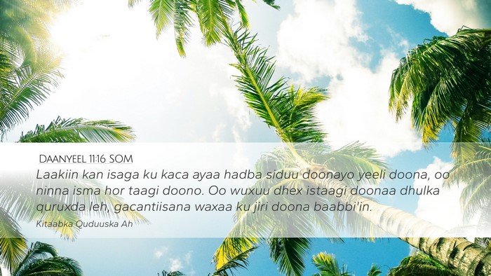 Daanyeel 11:16 SOM Bible Verse Image