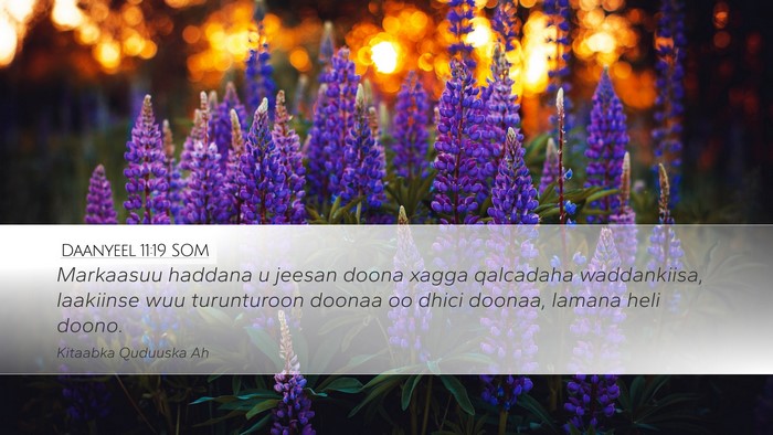Daanyeel 11:19 SOM Desktop Wallpaper - Markaasuu haddana u jeesan doona xagga qalcadaha - Desktop Bible Verse Wallpaper