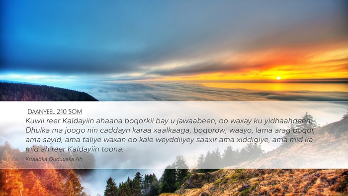 Daanyeel 2:10 SOM Bible Verse Image