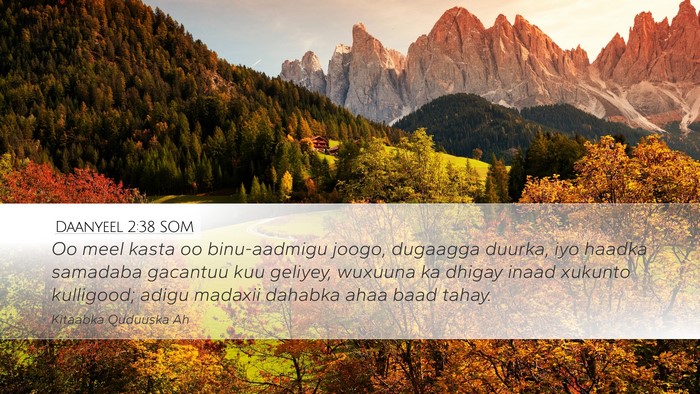 Daanyeel 2:38 SOM Bible Verse Image
