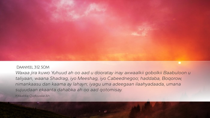Daanyeel 3:12 SOM Bible Verse Image
