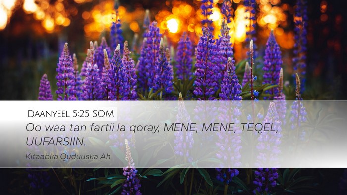 Daanyeel 5:25 SOM Bible Verse Image
