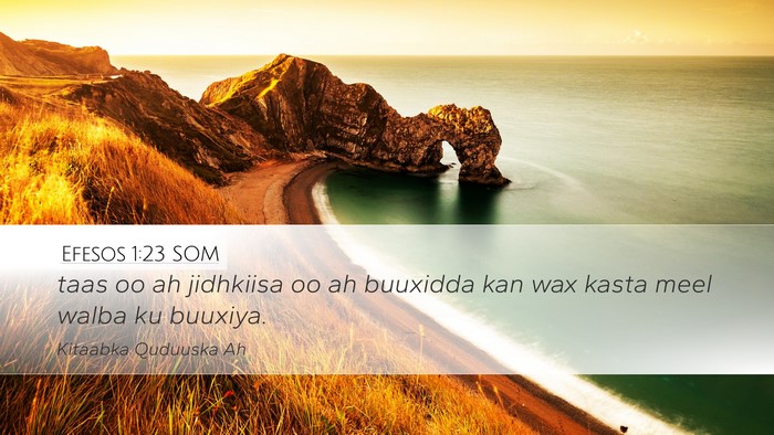Efesos 1:23 SOM Bible Verse Image