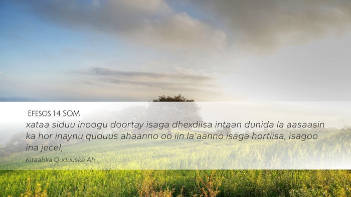 Efesos 1:4 SOM Bible Verse Image