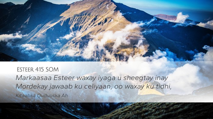 Esteer 4:15 SOM Bible Verse Image
