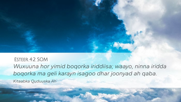 Esteer 4:2 SOM Desktop Wallpaper - Wuxuuna hor yimid boqorka iriddiisa; waayo, ninna - Desktop Bible Verse Wallpaper