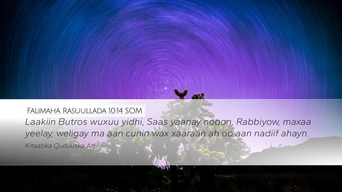 Falimaha Rasuullada 10:14 SOM Bible Verse Image