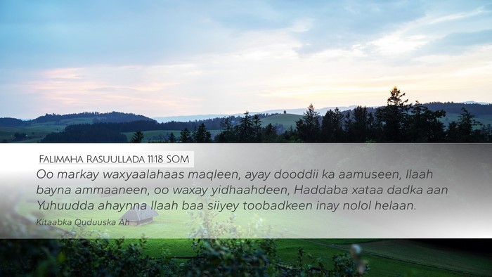 Falimaha Rasuullada 11:18 SOM Bible Verse Image