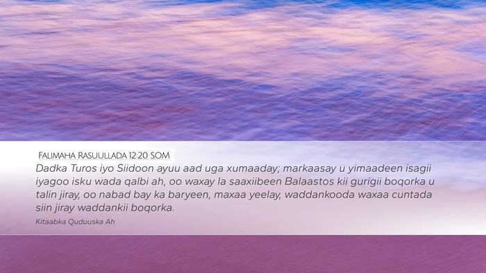 Falimaha Rasuullada 12:20 SOM Bible Verse Image