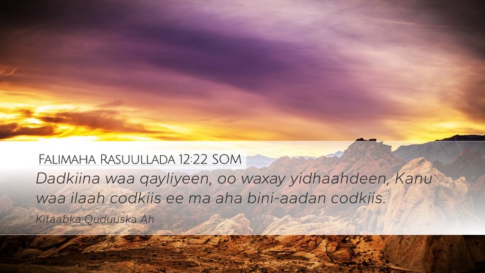 Falimaha Rasuullada 12:22 SOM Bible Verse Image