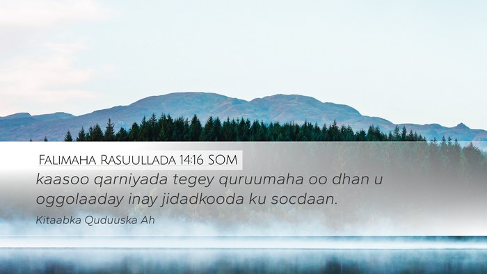 Falimaha Rasuullada 14:16 SOM Bible Verse Image