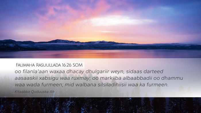 Falimaha Rasuullada 16:26 SOM Bible Verse Image