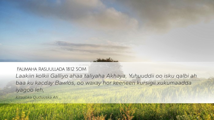 Falimaha Rasuullada 18:12 SOM Bible Verse Image