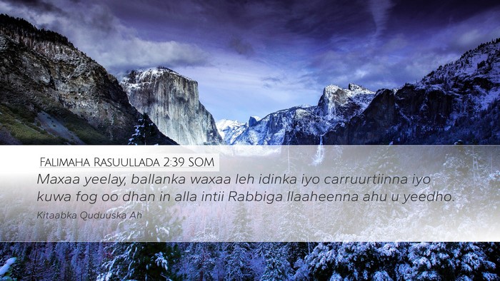 Falimaha Rasuullada 2:39 SOM Bible Verse Image