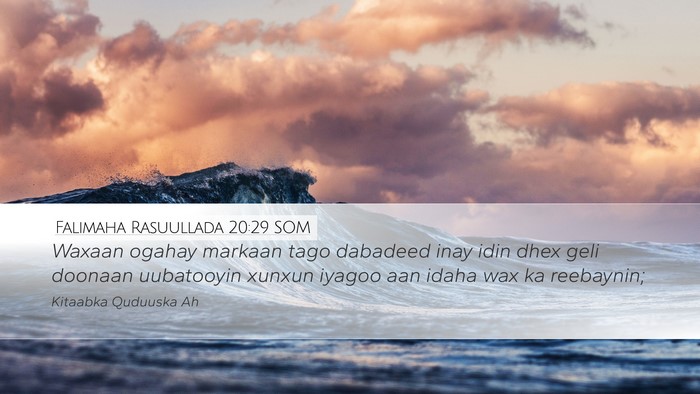 Falimaha Rasuullada 20:29 SOM Bible Verse Image