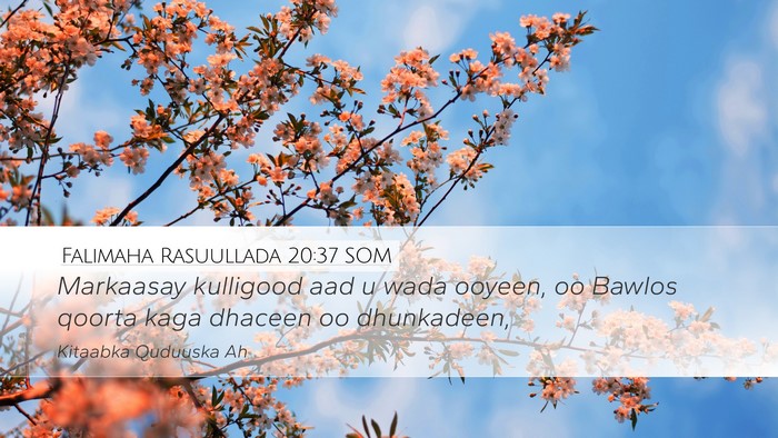 Falimaha Rasuullada 20:37 SOM Bible Verse Image