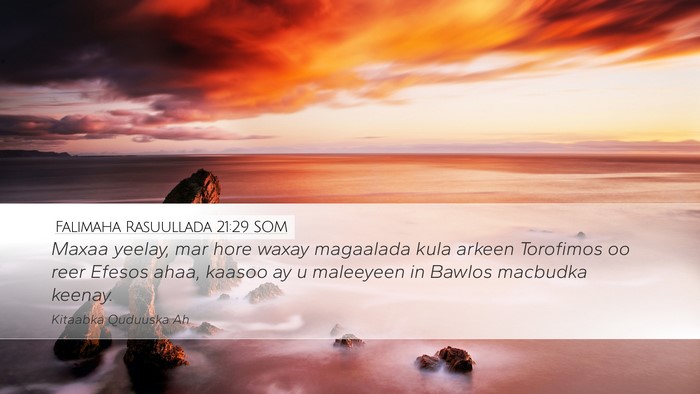 Falimaha Rasuullada 21:29 SOM Bible Verse Image