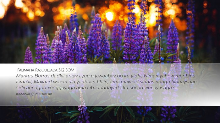 Falimaha Rasuullada 3:12 SOM Bible Verse Image