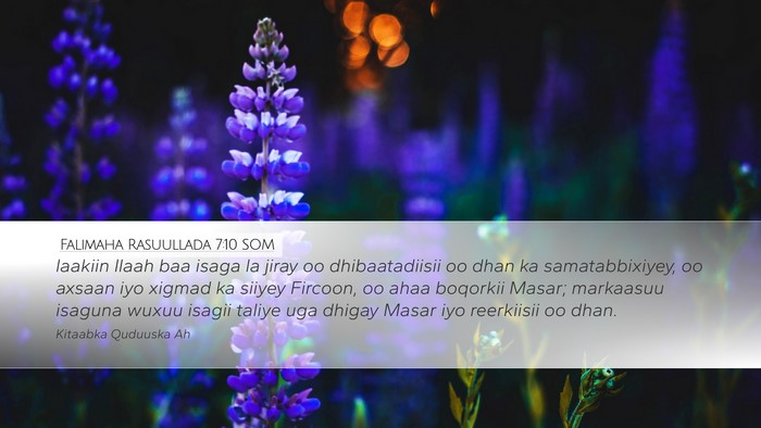 Falimaha Rasuullada 7:10 SOM Bible Verse Image