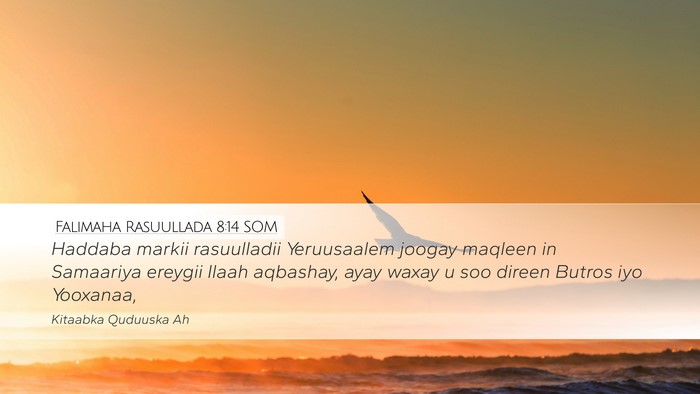Falimaha Rasuullada 8:14 SOM Bible Verse Image
