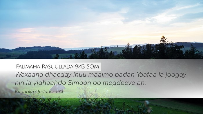 Falimaha Rasuullada 9:43 SOM Bible Verse Image