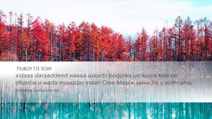 Filiboy 1:13 SOM Bible Verse Image