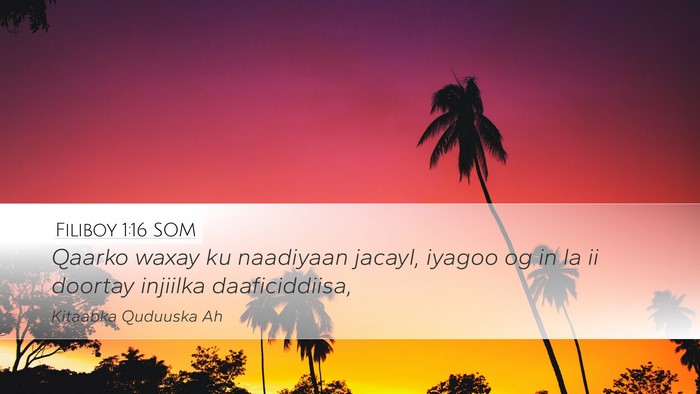 Filiboy 1:16 SOM Bible Verse Image