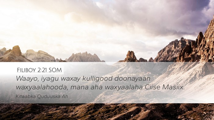 Filiboy 2:21 SOM Bible Verse Image
