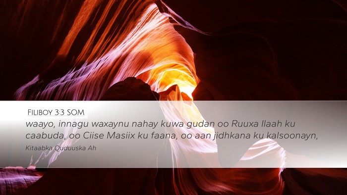 Filiboy 3:3 SOM Bible Verse Image